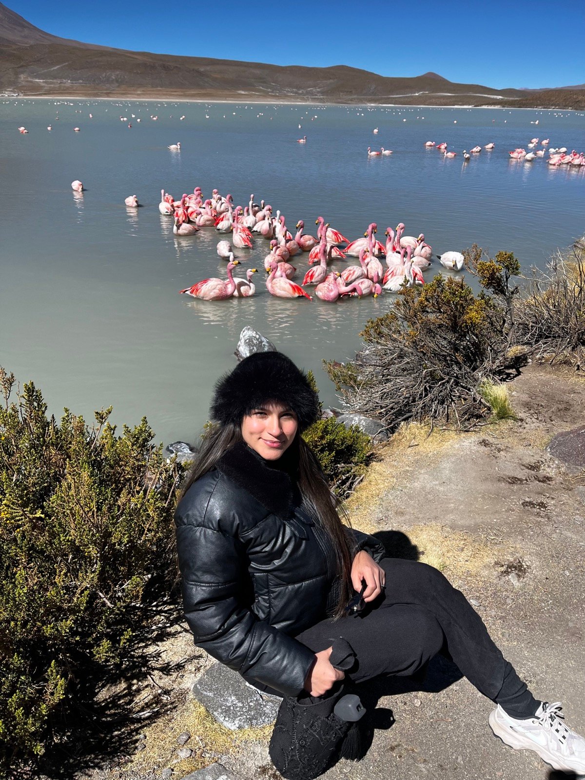Dana junto a una laguna del altiplano con flamencos