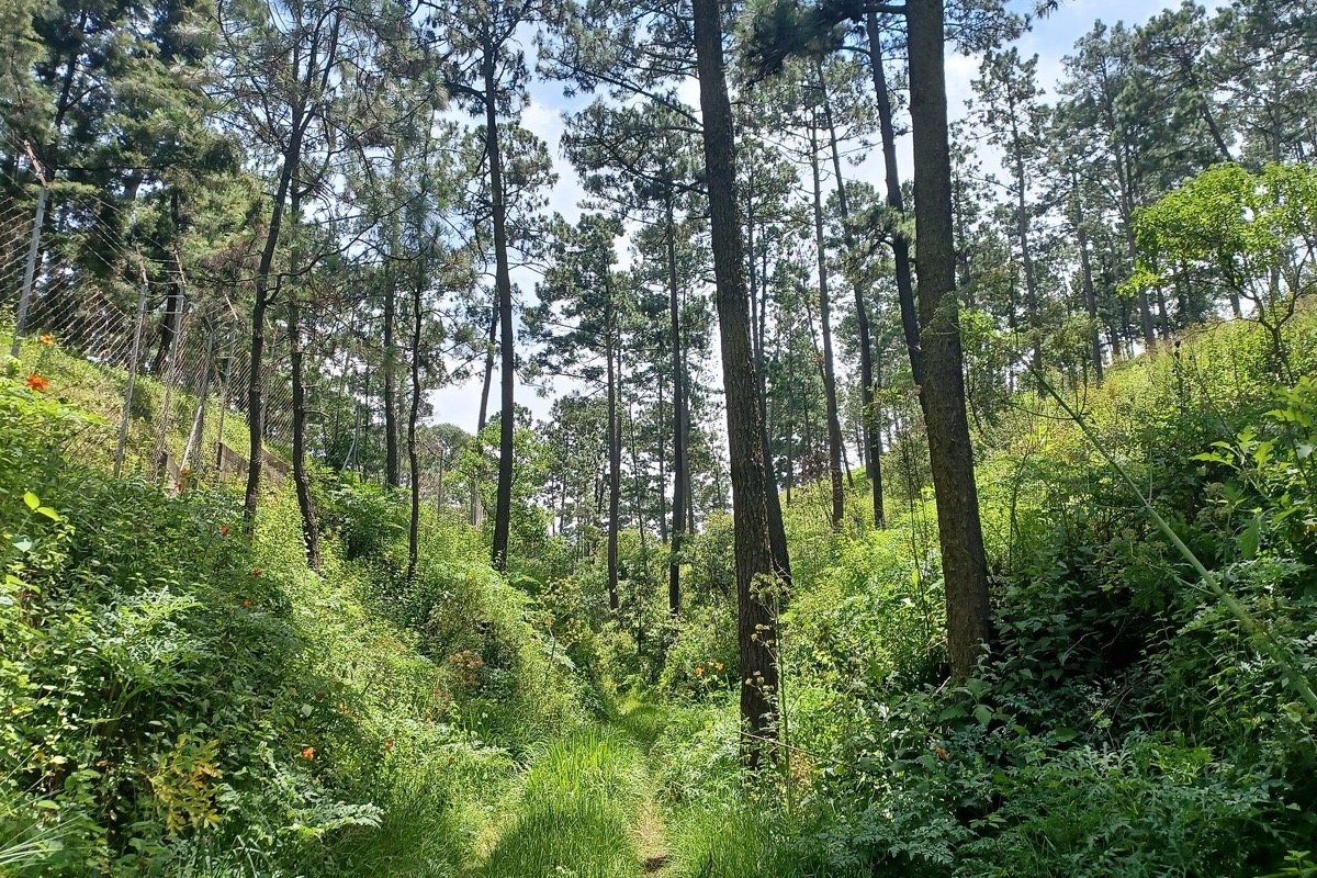 Paisaje rural del departamento de Quetzaltenango