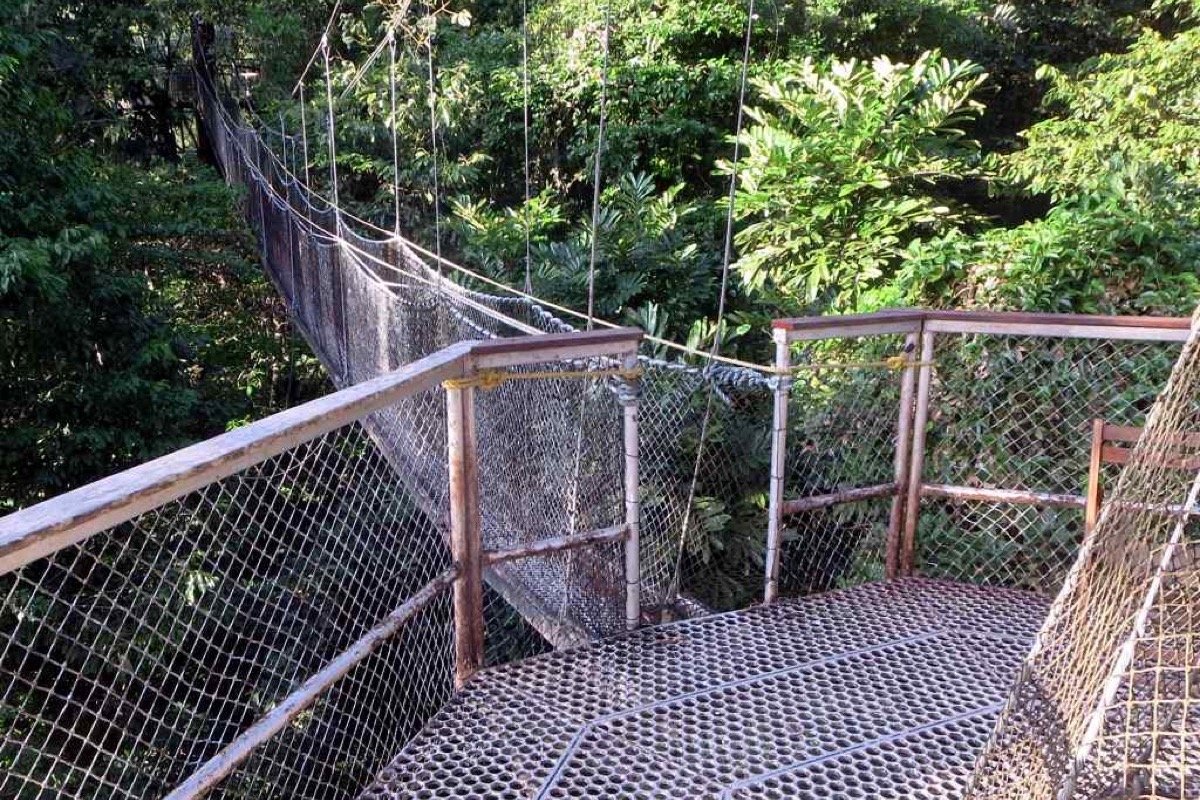 Pasarela del dosel en Iwokrama