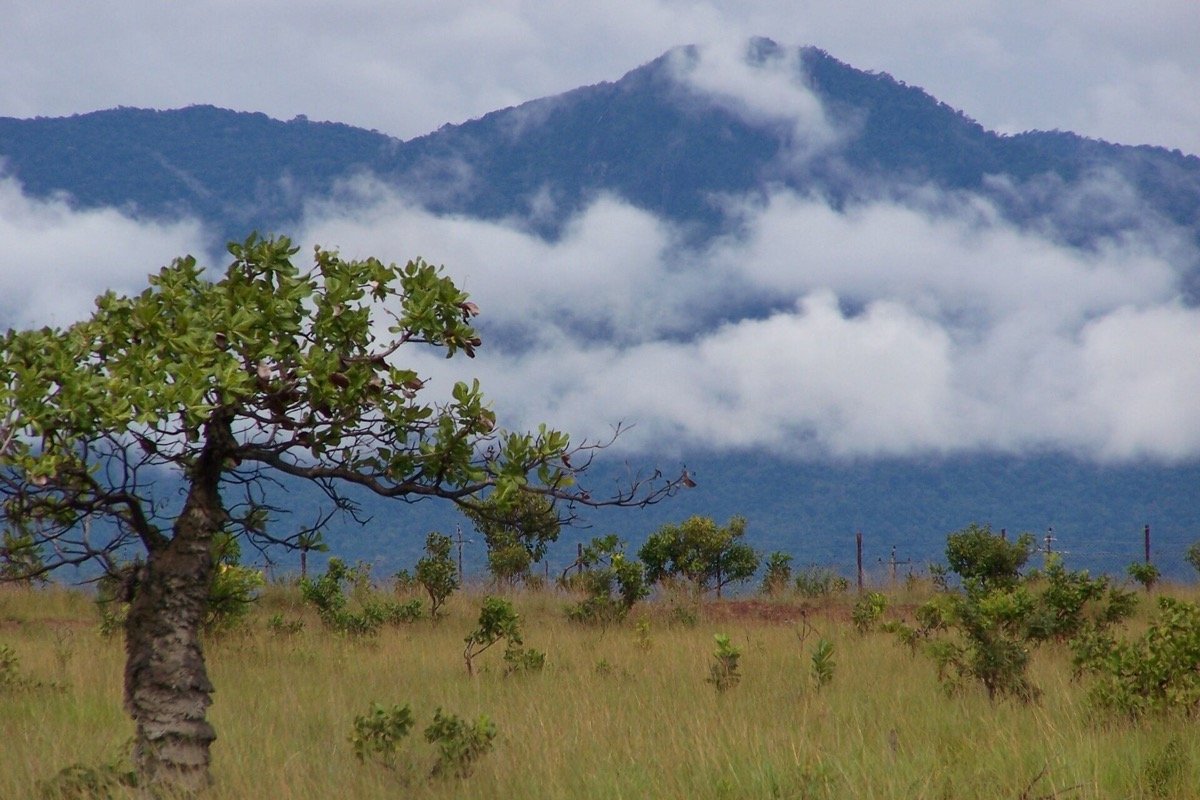 Paisaje cerca de Lethem y las montañas Kanuku