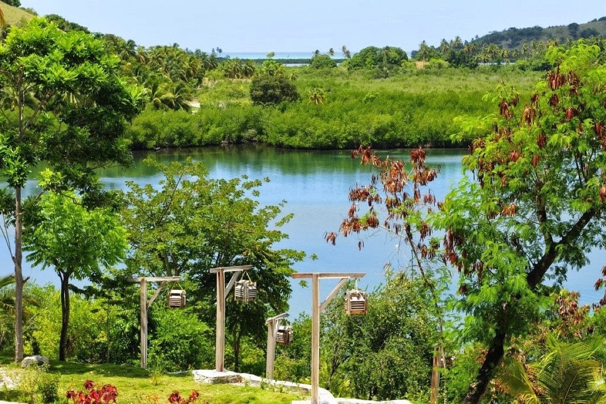 Paisaje costero de Île-à-Vache