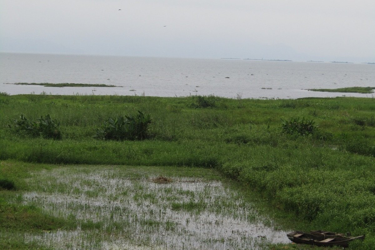 Orilla del Lago de Yojoa