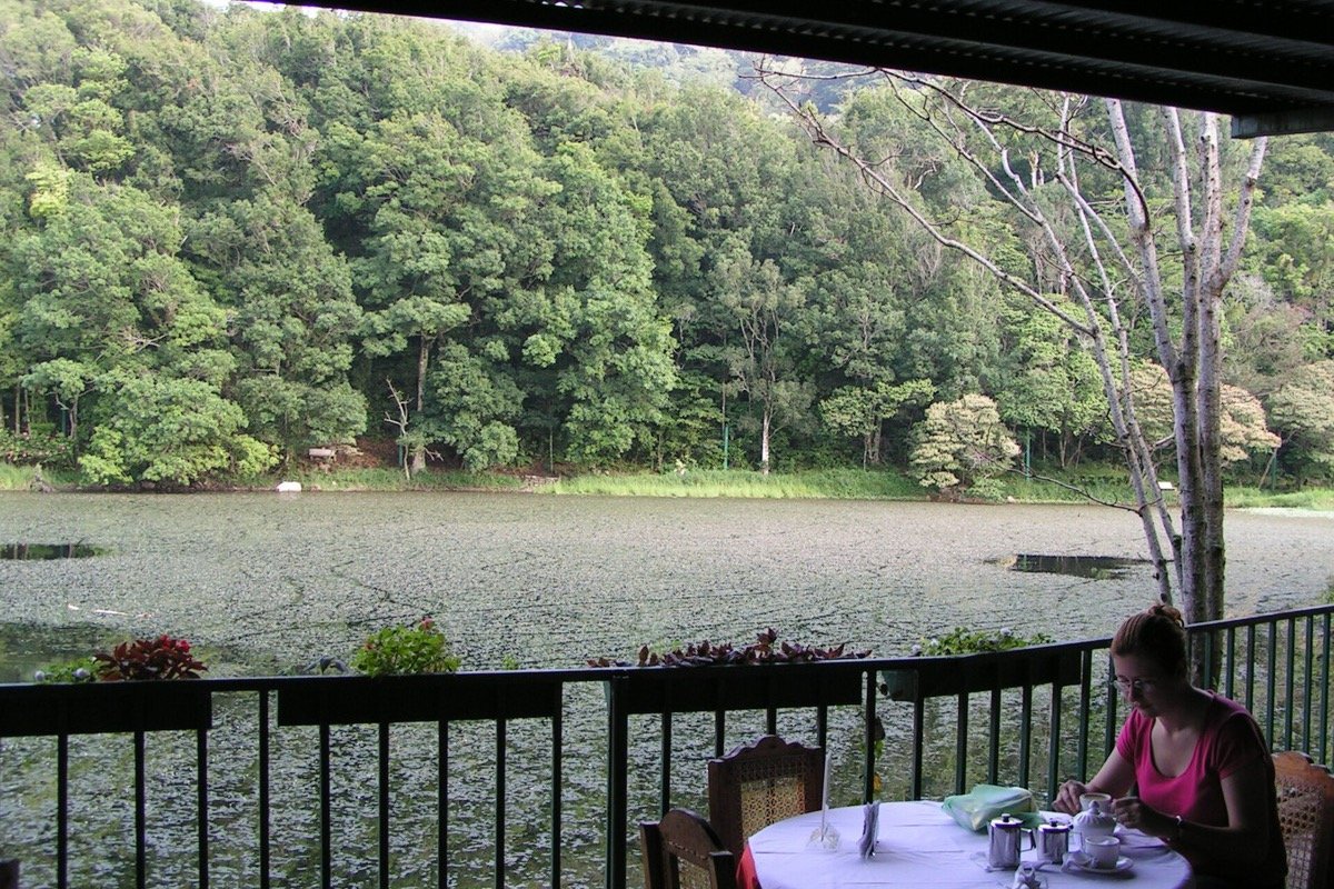 Vegetación y sendero en Selva Negra