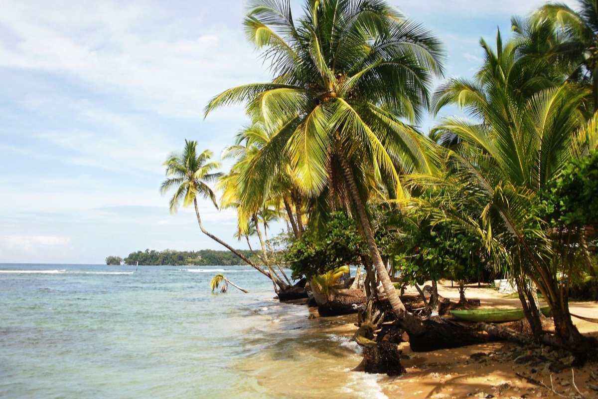 Costa de Paunch en Bocas del Toro