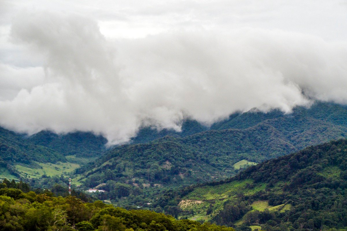 Bosque nuboso cerca de Boquete