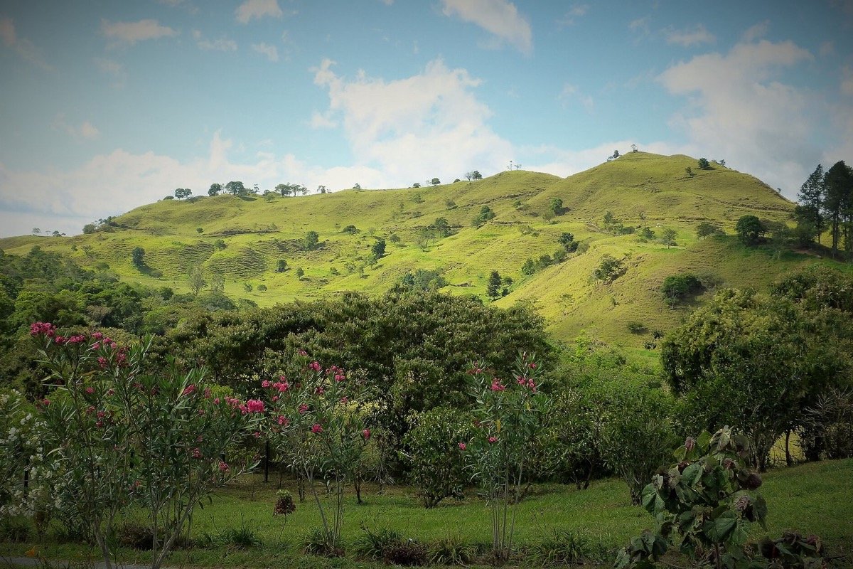 Paisaje de una finca cafetalera cerca de Boquete