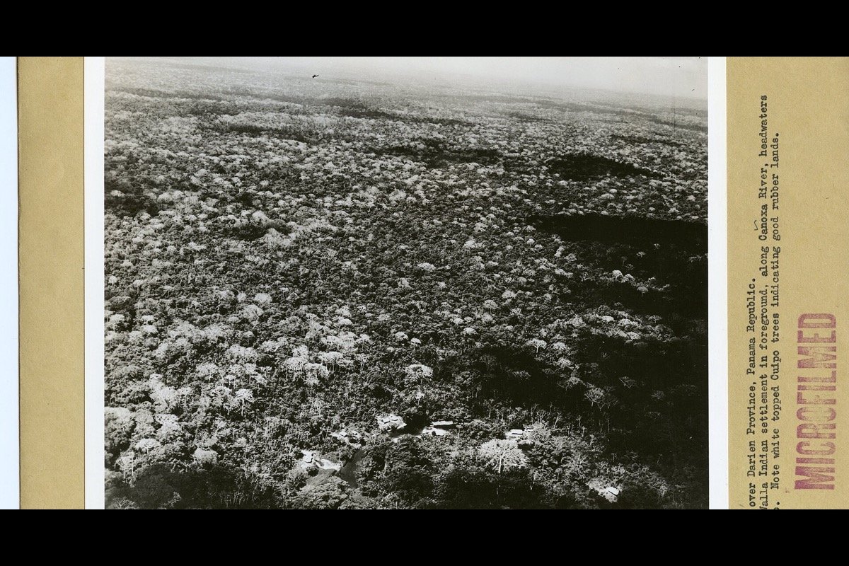 Vista aérea histórica de la selva de Darién