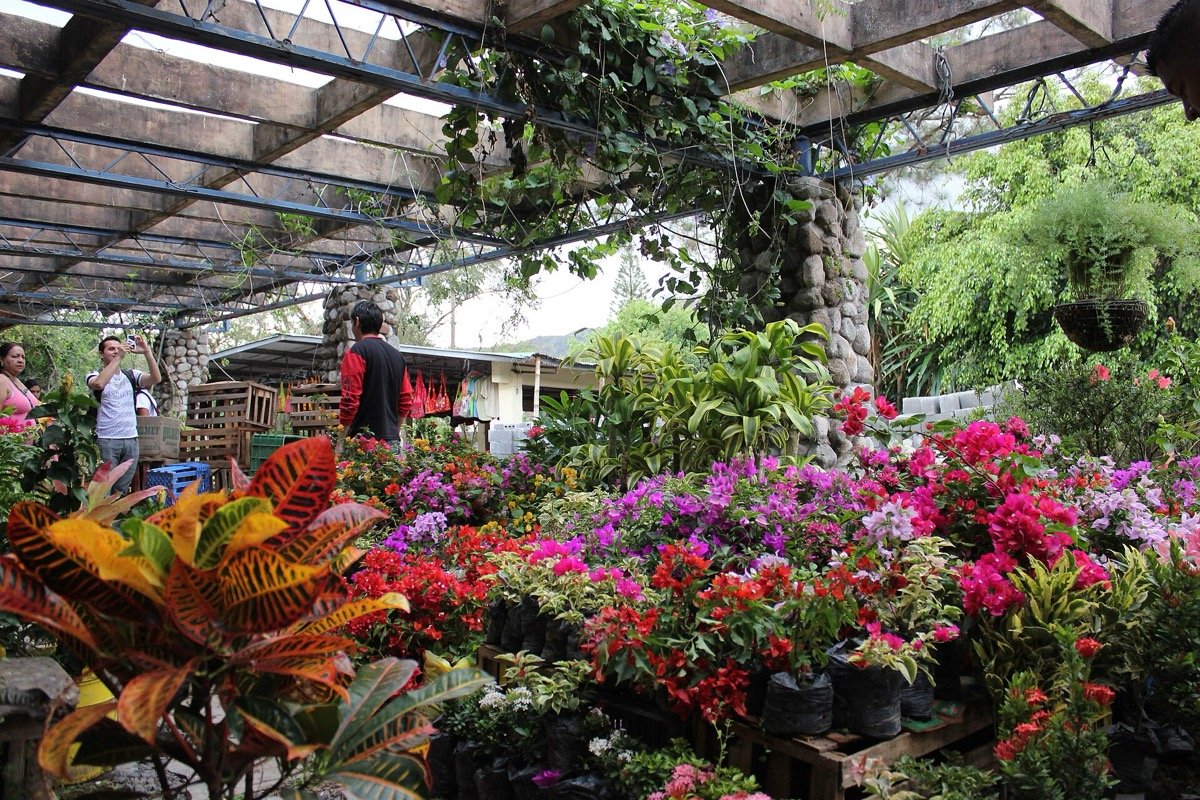 Mercado de El Valle de Antón