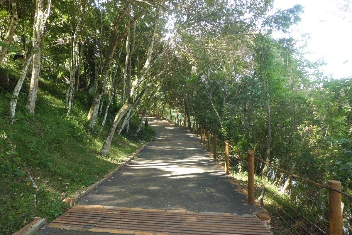 Sendero de acceso en Saltos del Monday