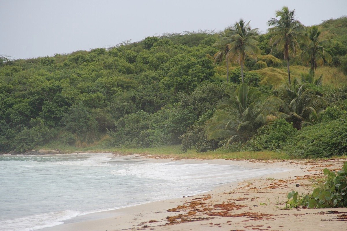 Playa Zoni en Culebra
