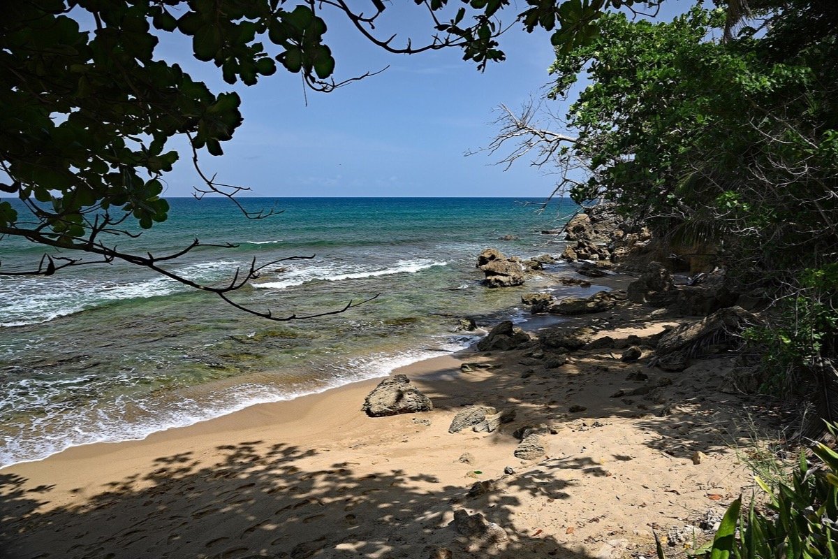 Vista de una playa en Rincón