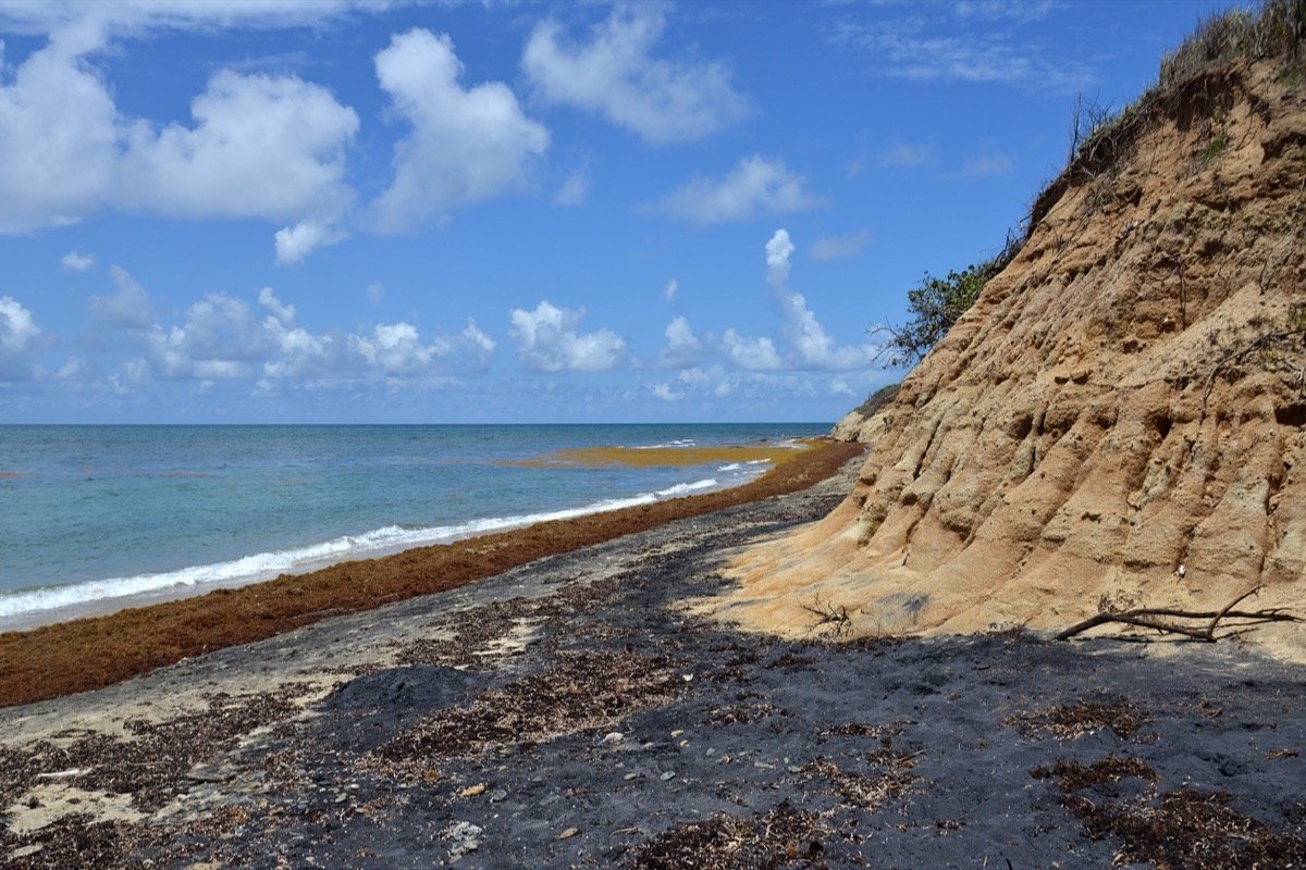 Arena oscura en Playa Negra de Vieques