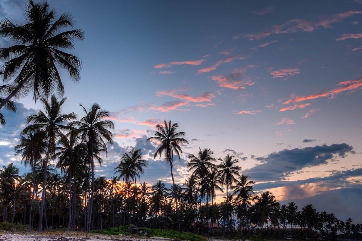 Costa tropical del este de República Dominicana