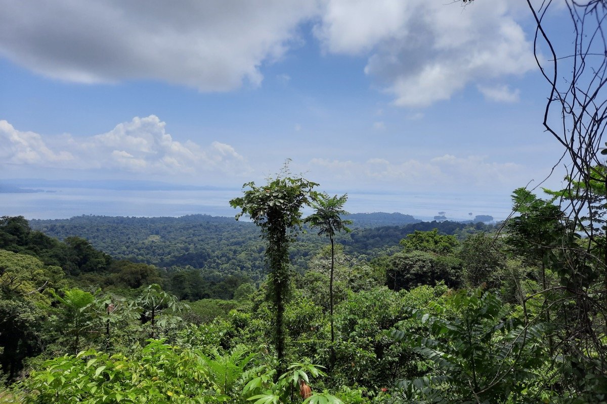 Vista del embalse de Brokopondo desde Brownsberg