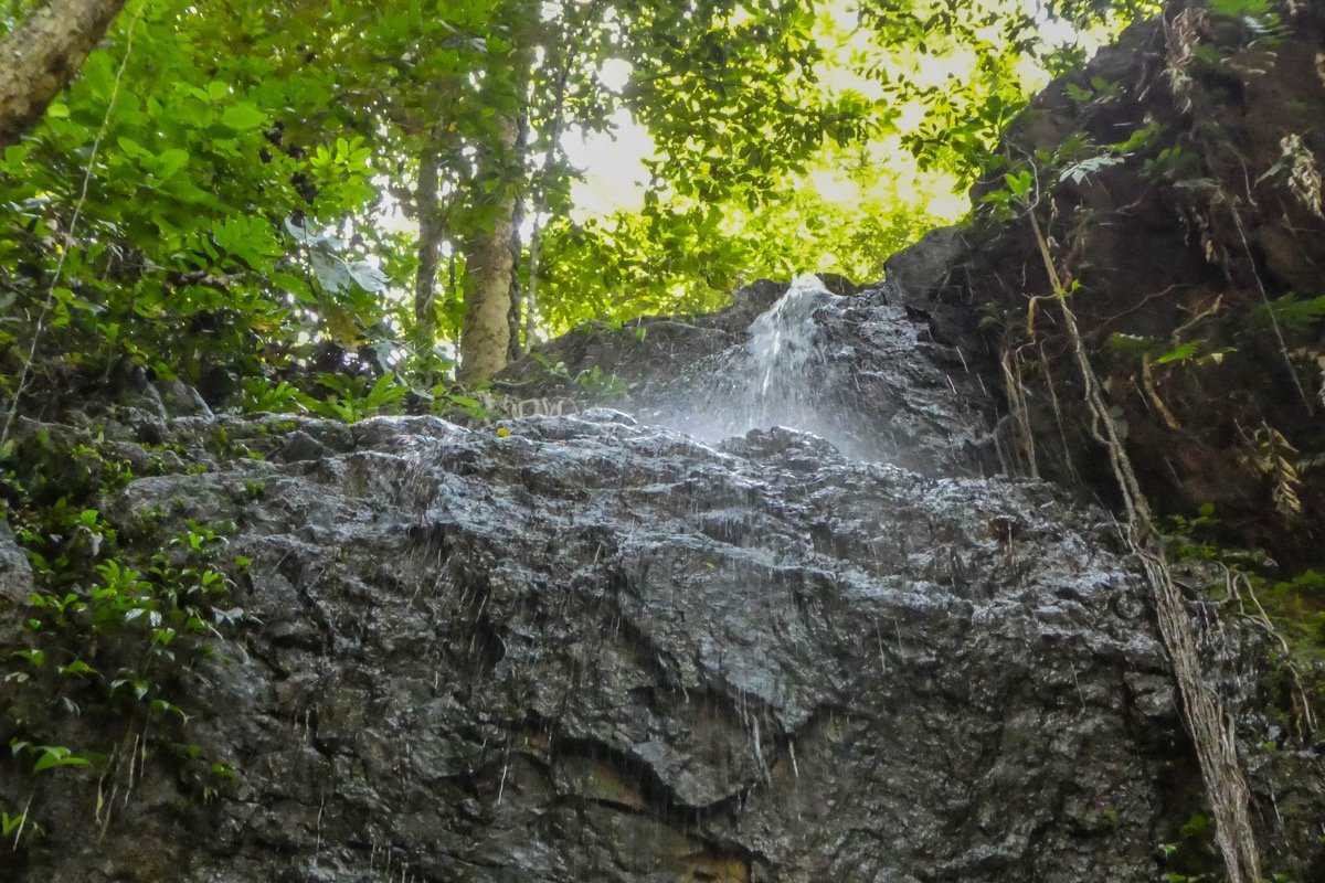 Cascada Leo en Brownsberg