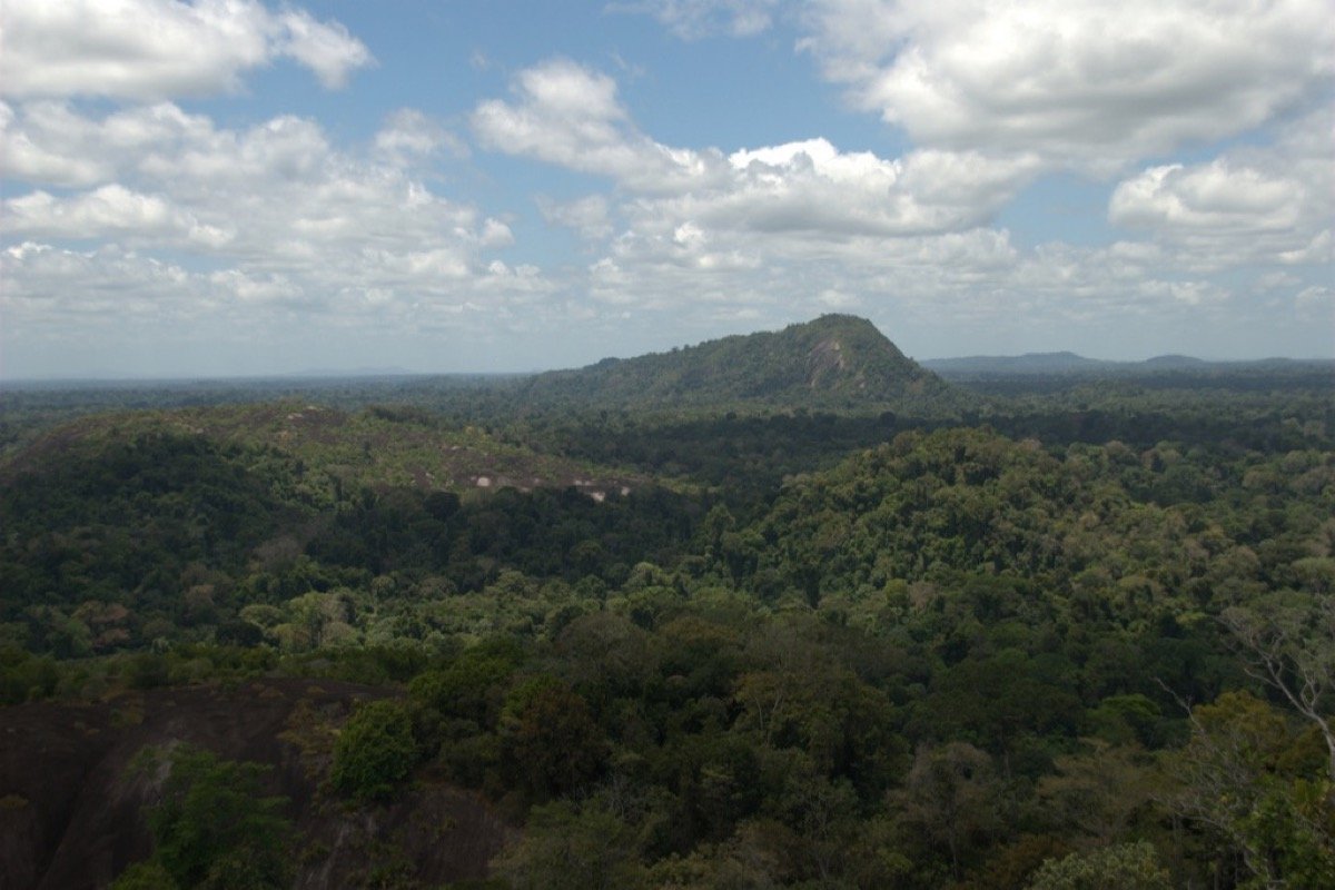 Voltzberg sobre la selva de Surinam Central
